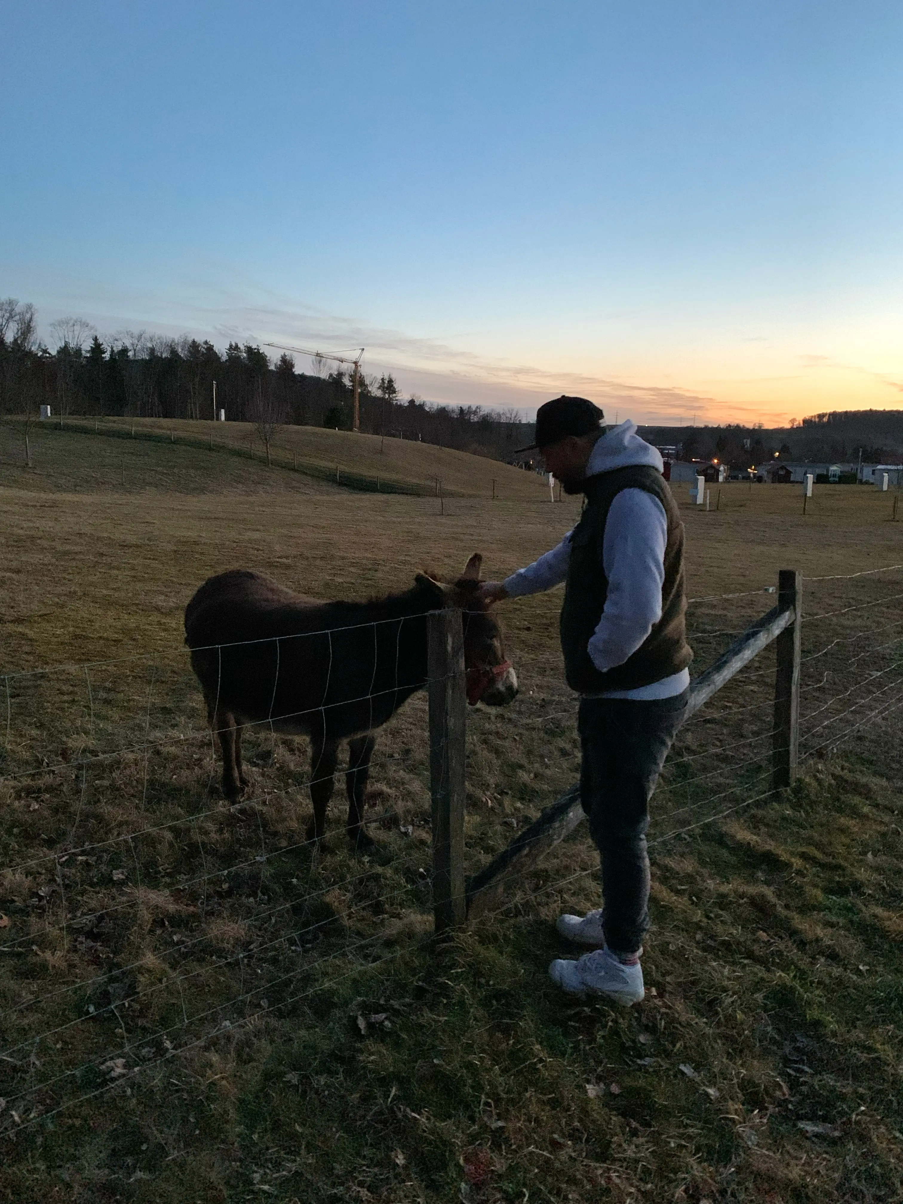 Auf dem Campingplatz Orsingen findet sich auch ein Streichelzoo.