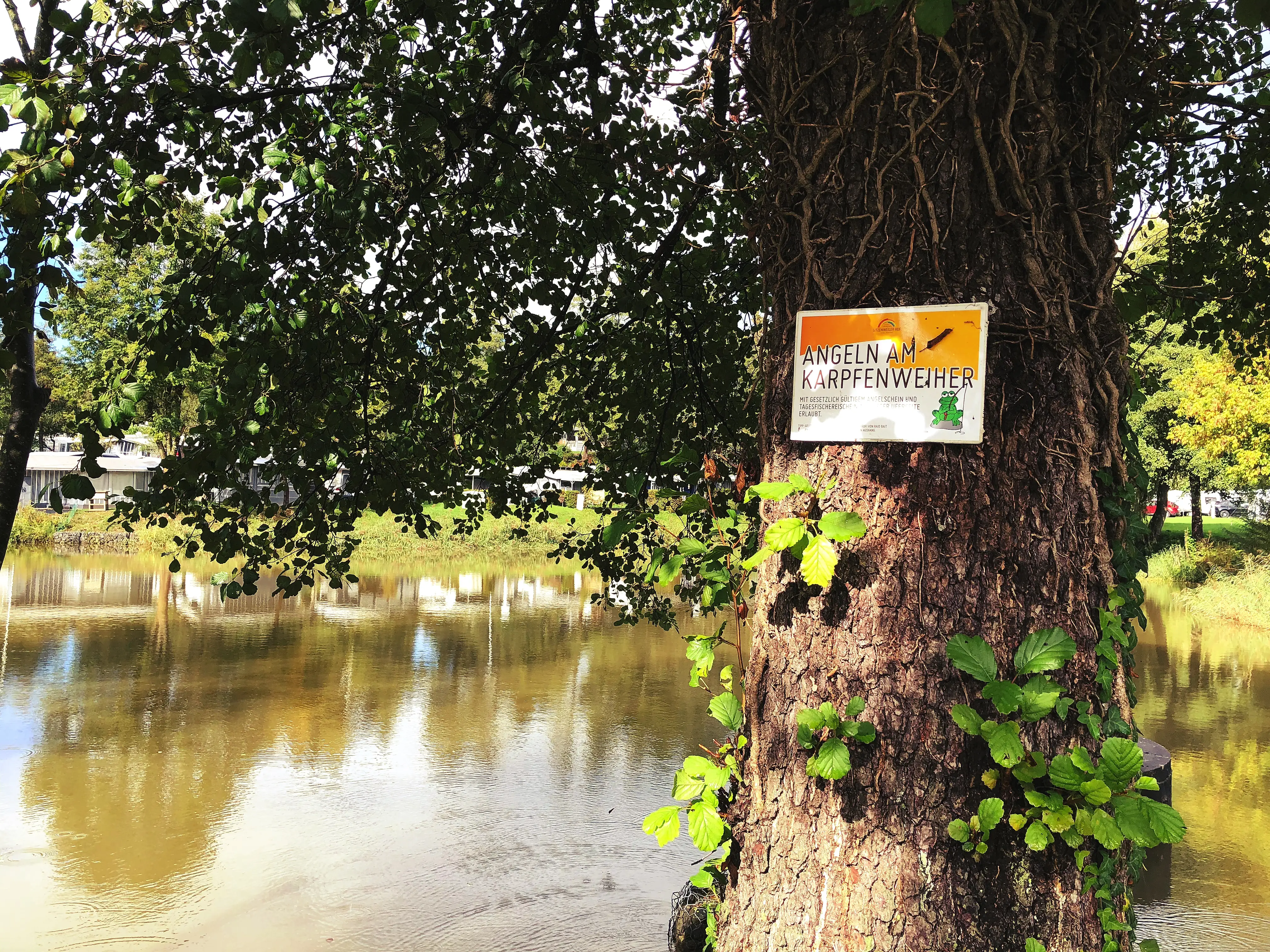 Im campingplatz-eigenen Teich können Karpfen geangelt werden und man muss zum Angeln nicht extra an den Bodensee.