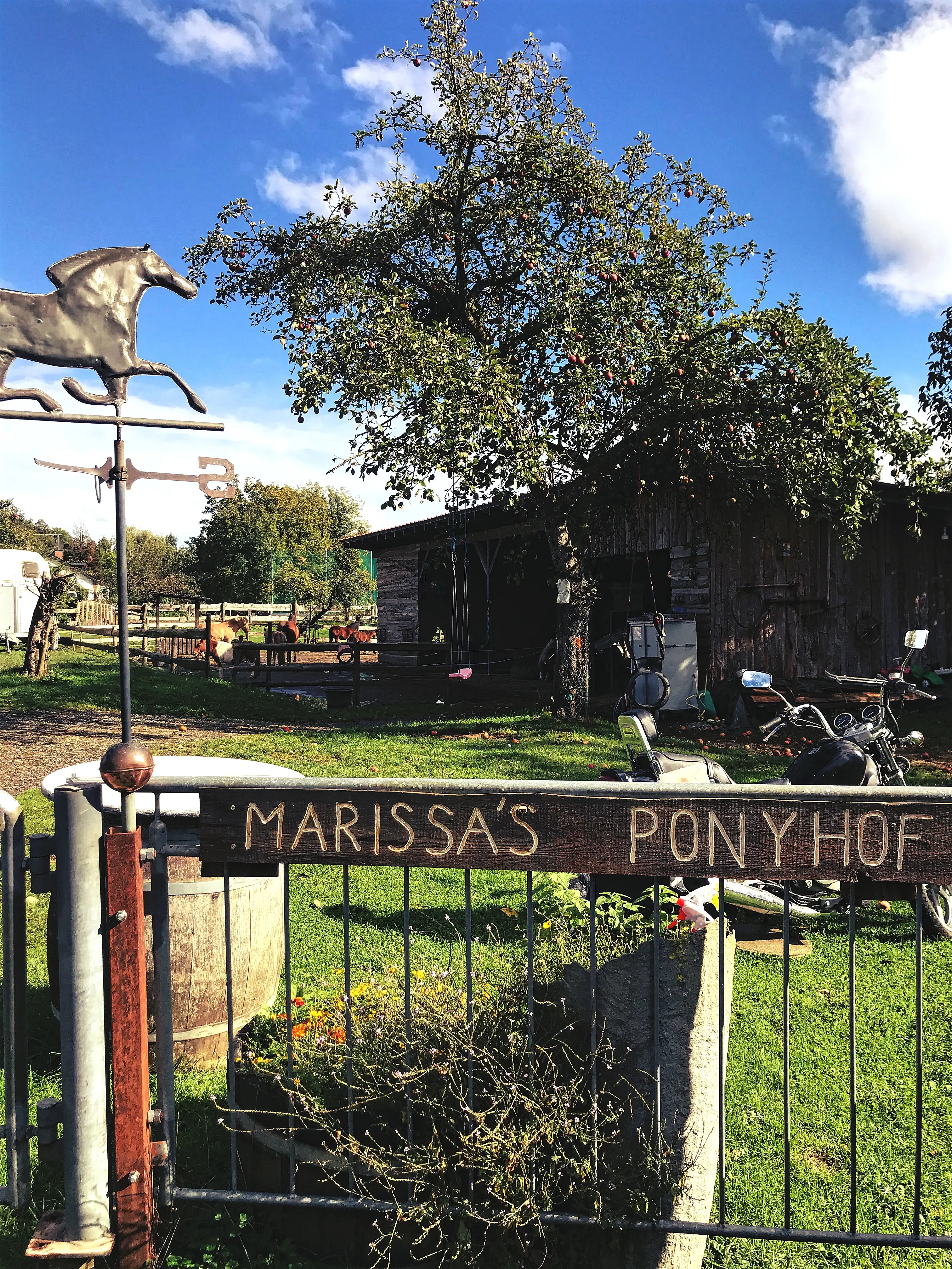 Einen Ponyhof und Streichenzoo hat der Campingplatz Gitzenweiler Hof bei Lindau auch zu bieten.