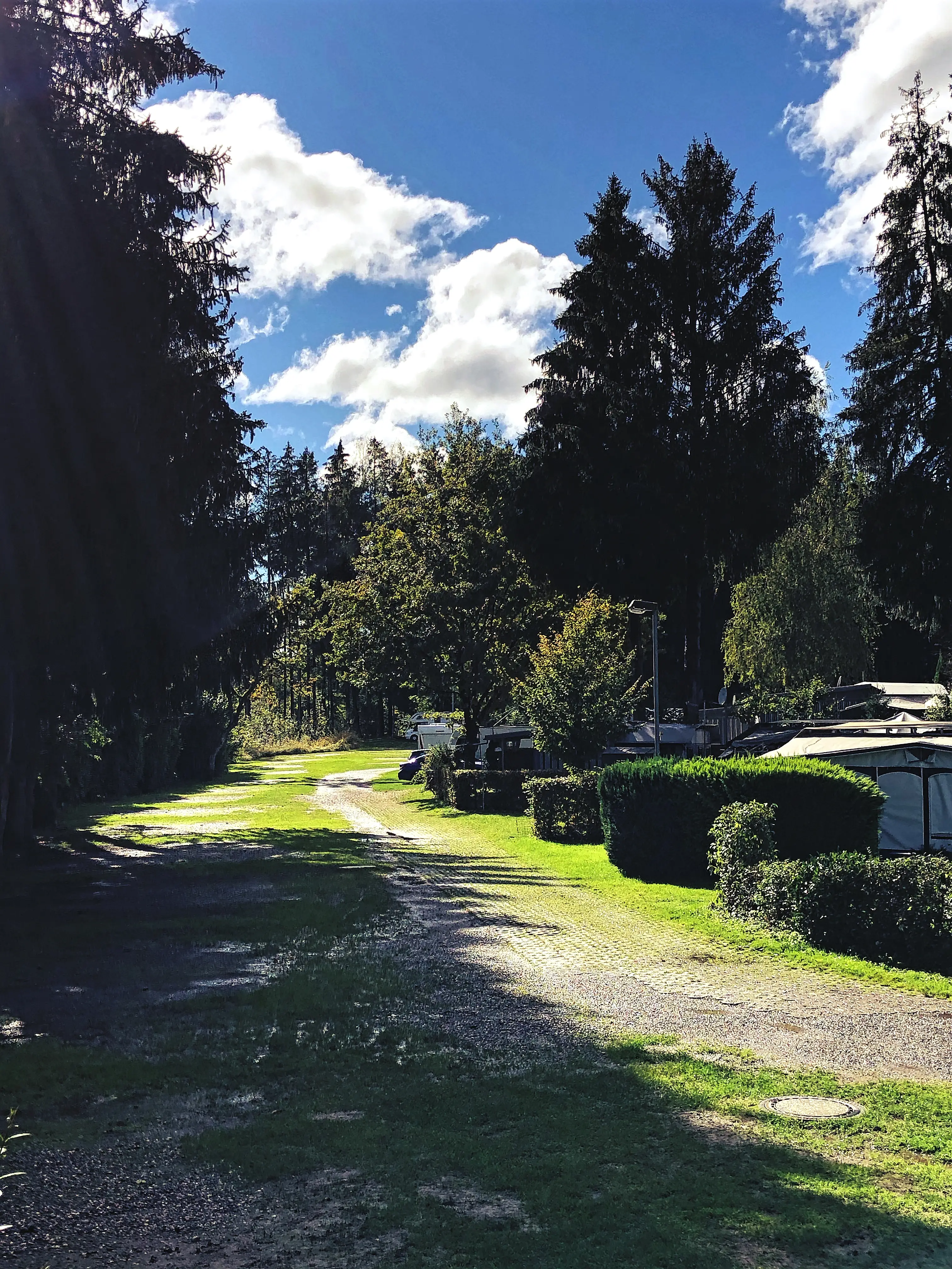 Am Campingplatz Gitzenweiler Hof gibt es auch Stellplätze die in ruhigerer Lage zu finden sind.