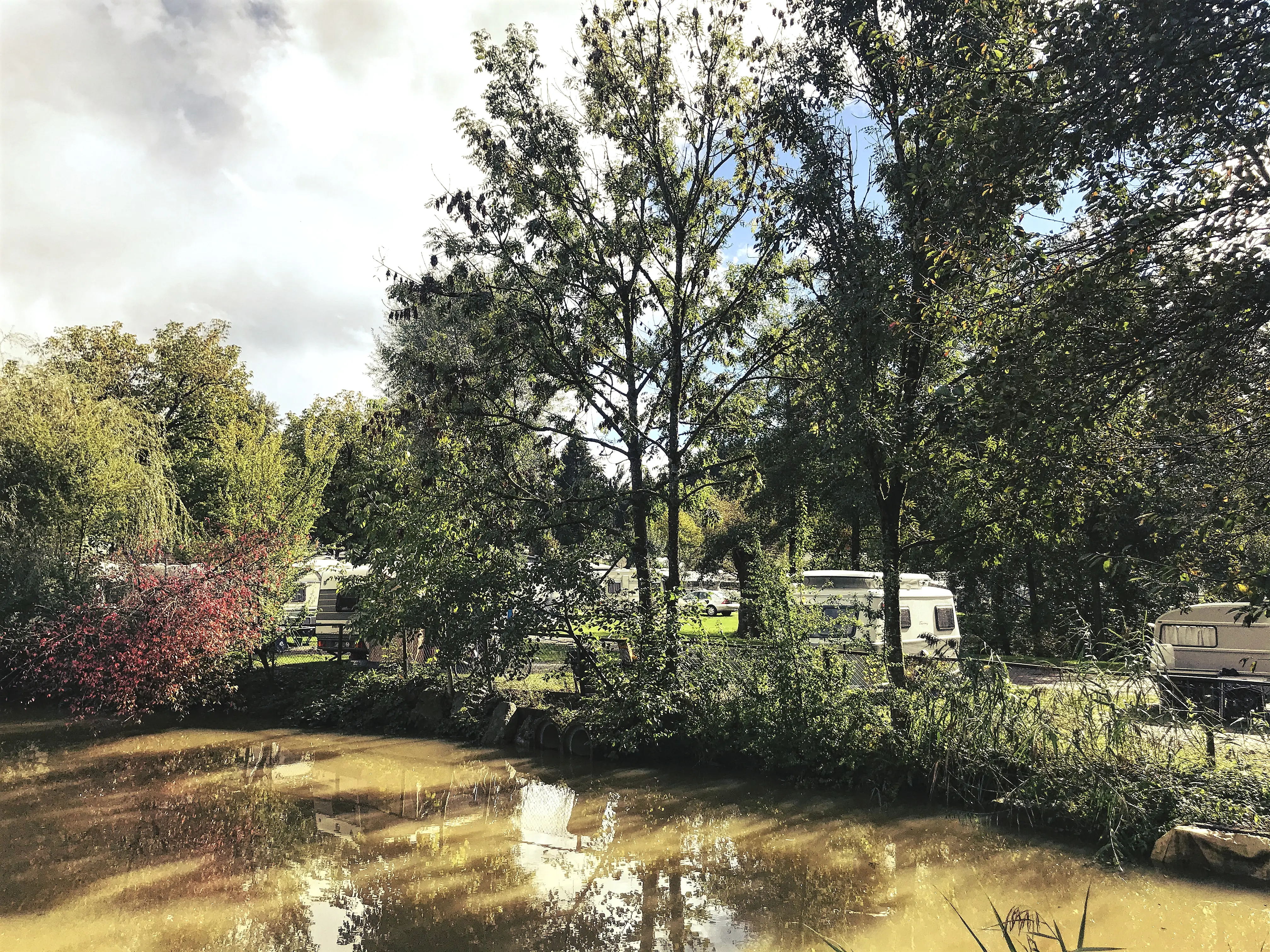 Wer direkt am Wasser campen möchte, kann Stellplätze direkt am Teich des Gitzenweiler Hof reservieren.
