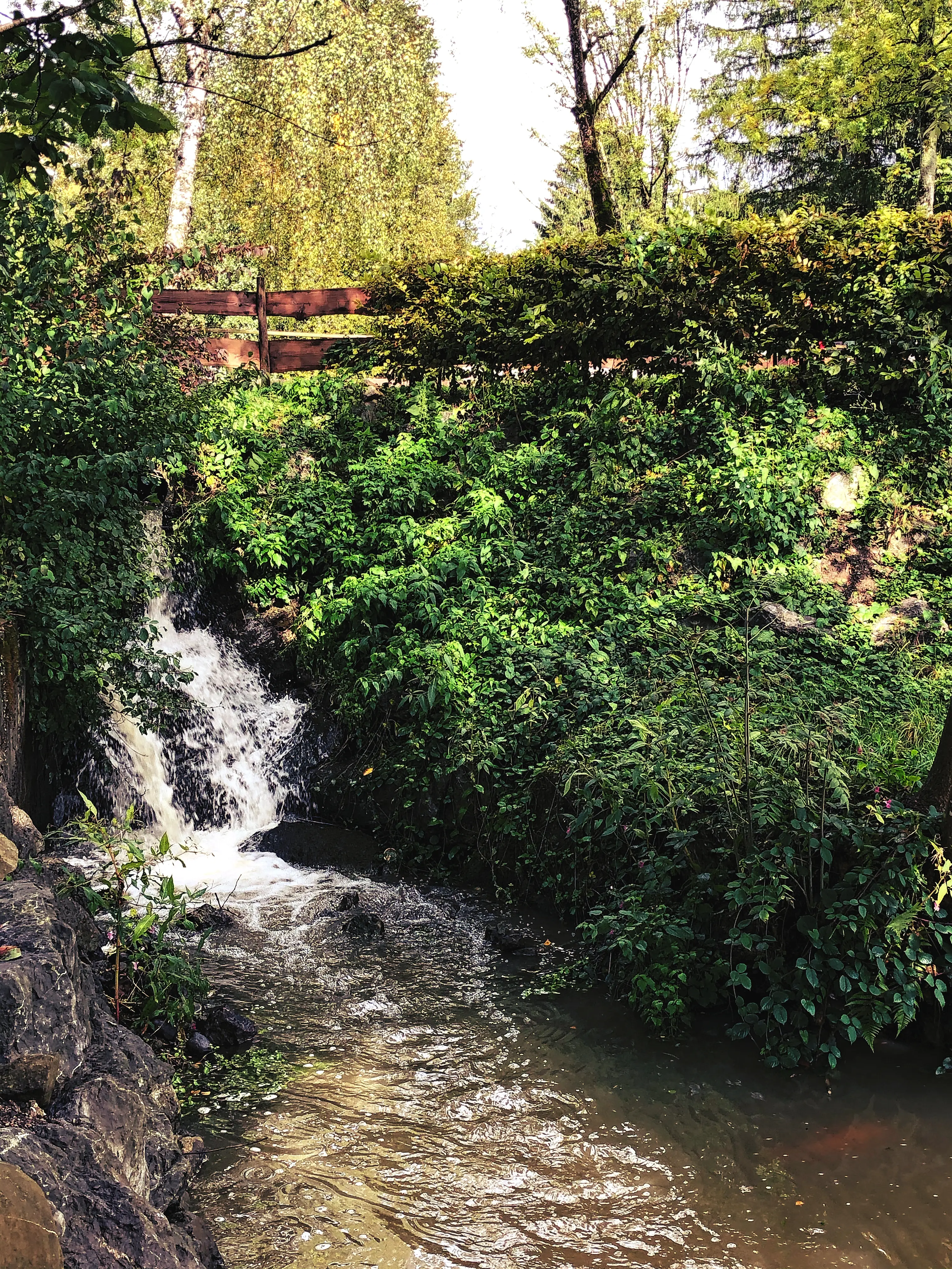 Der Teich des Gitzenweiler Hofs wird von einem Wasserfall gespeist.
