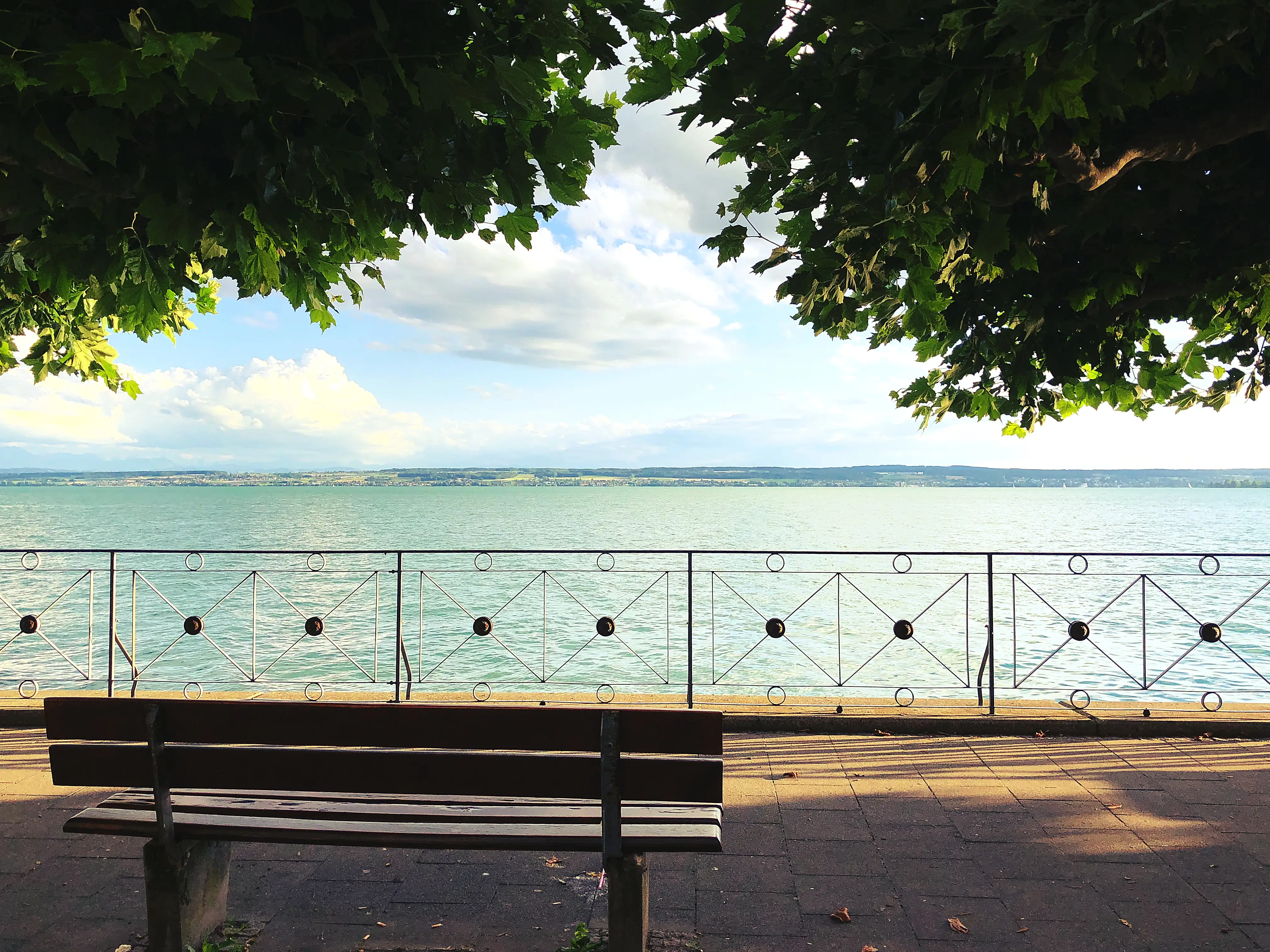 An der Fähre angekommen, gibt es noch einige Bänke auf denen man den Blick auf den Bodensee und die Schweiz genießen kann.
