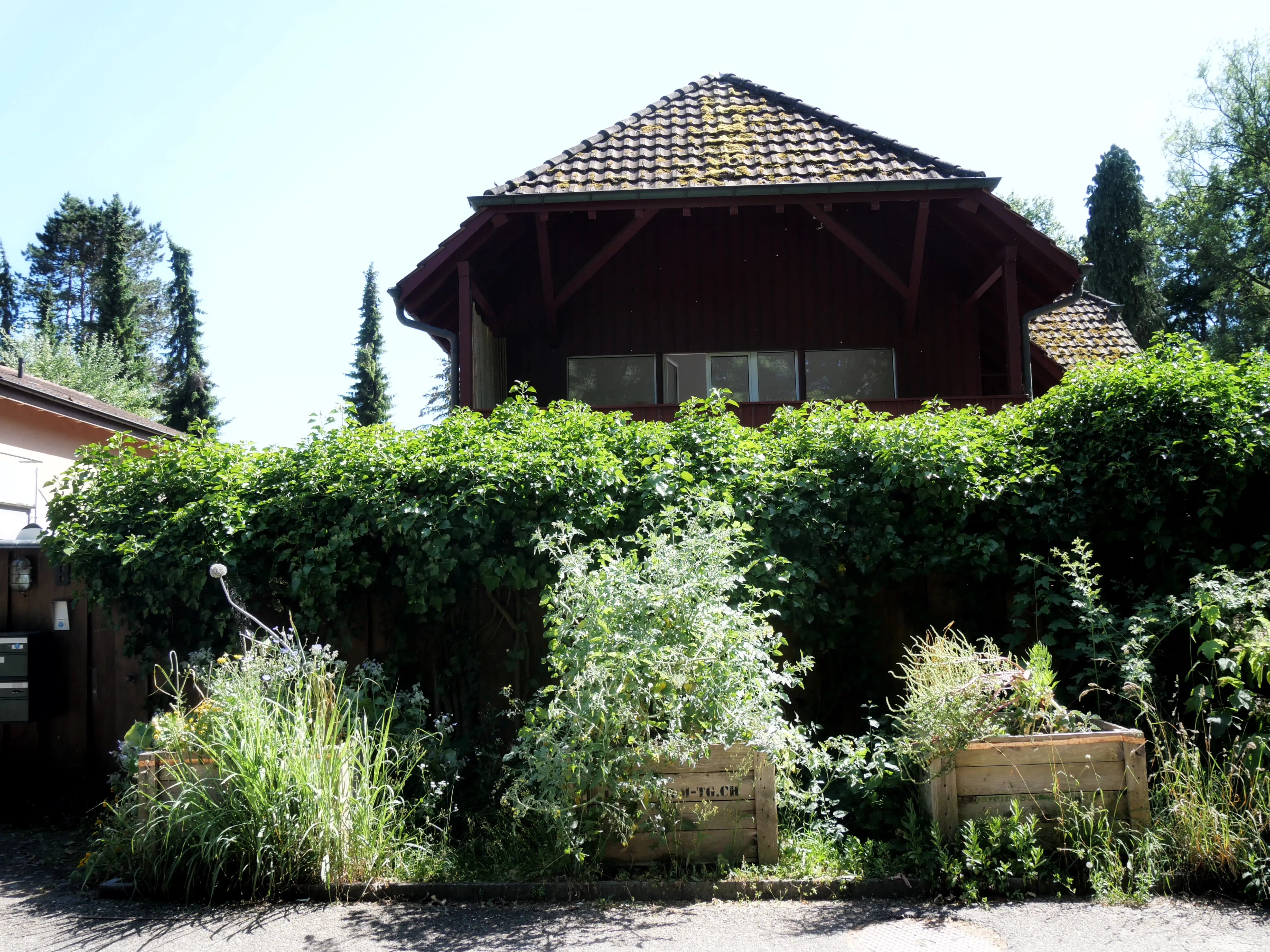 Alte Fachwerkhäuser, Handwerk und kleine Cafés, das macht Gottlieben mit seiner schönen Uferpromenade am Seerhein aus.