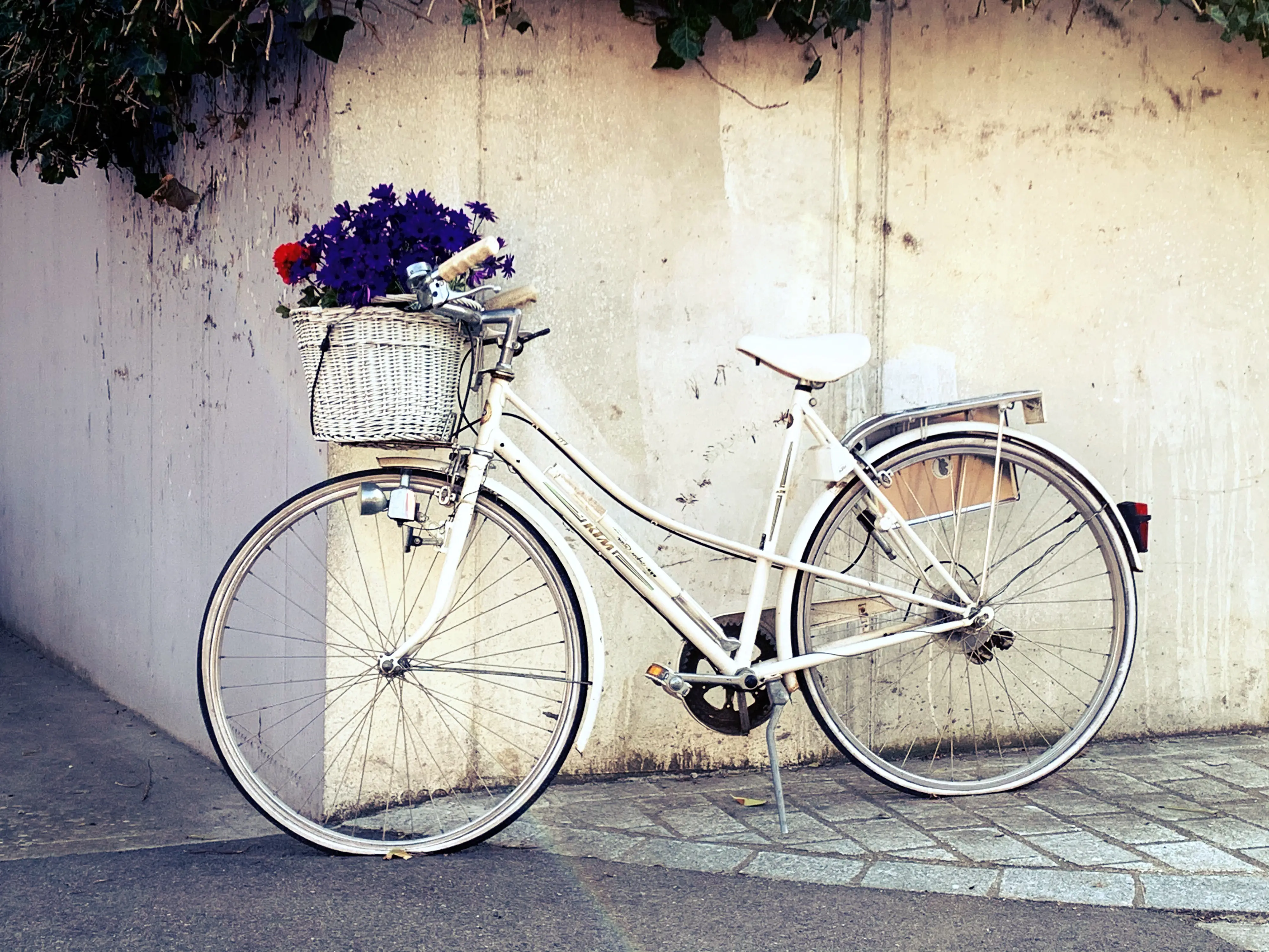Ein bepflanztes Fahrrad finden die Localsbodensee entlang des Bodensees in Steckborn.
