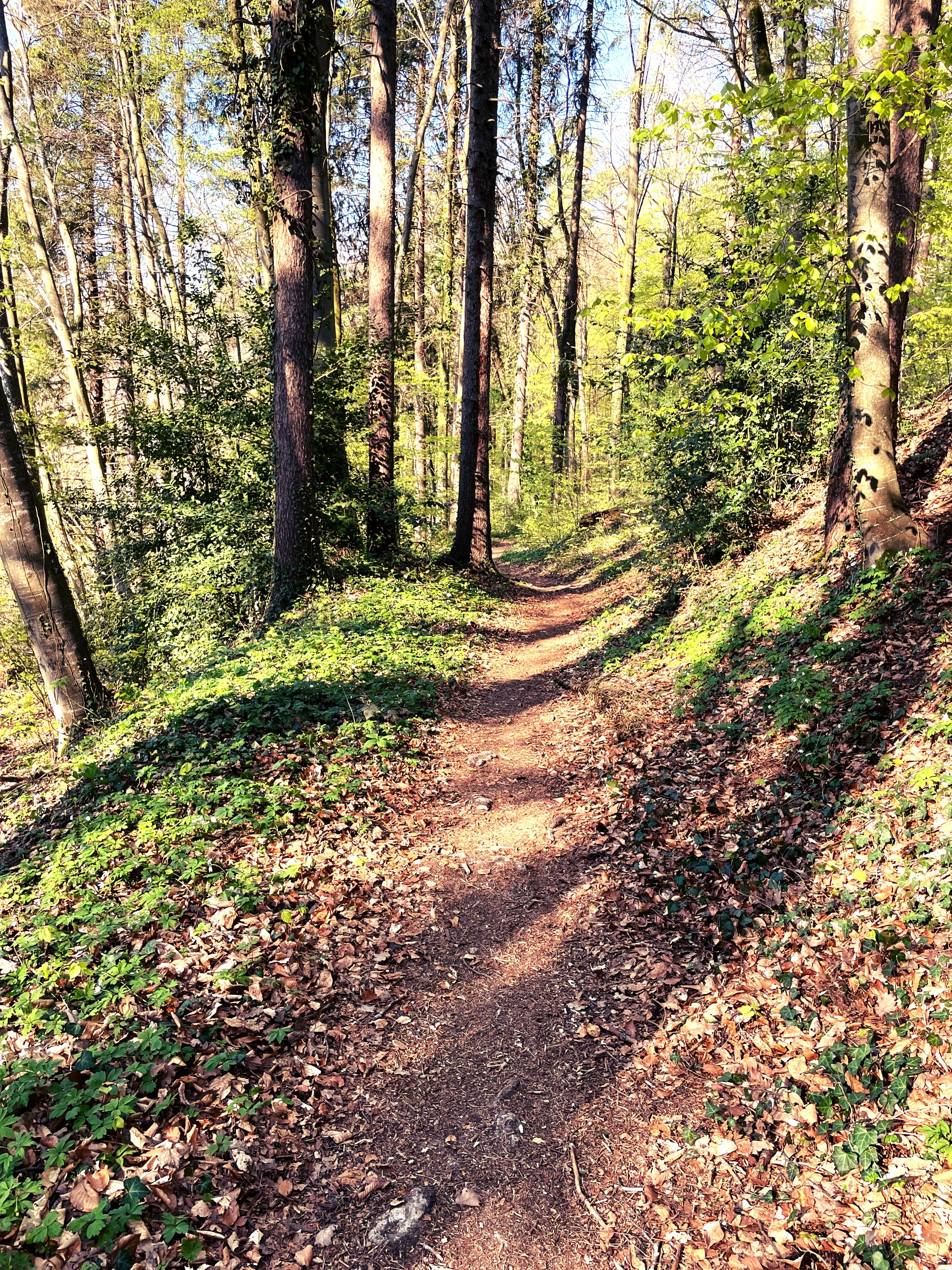 An sonnigen Tagen sind vorallem die Abschnitte des Fabelwegs durch den Wald abkühlend.