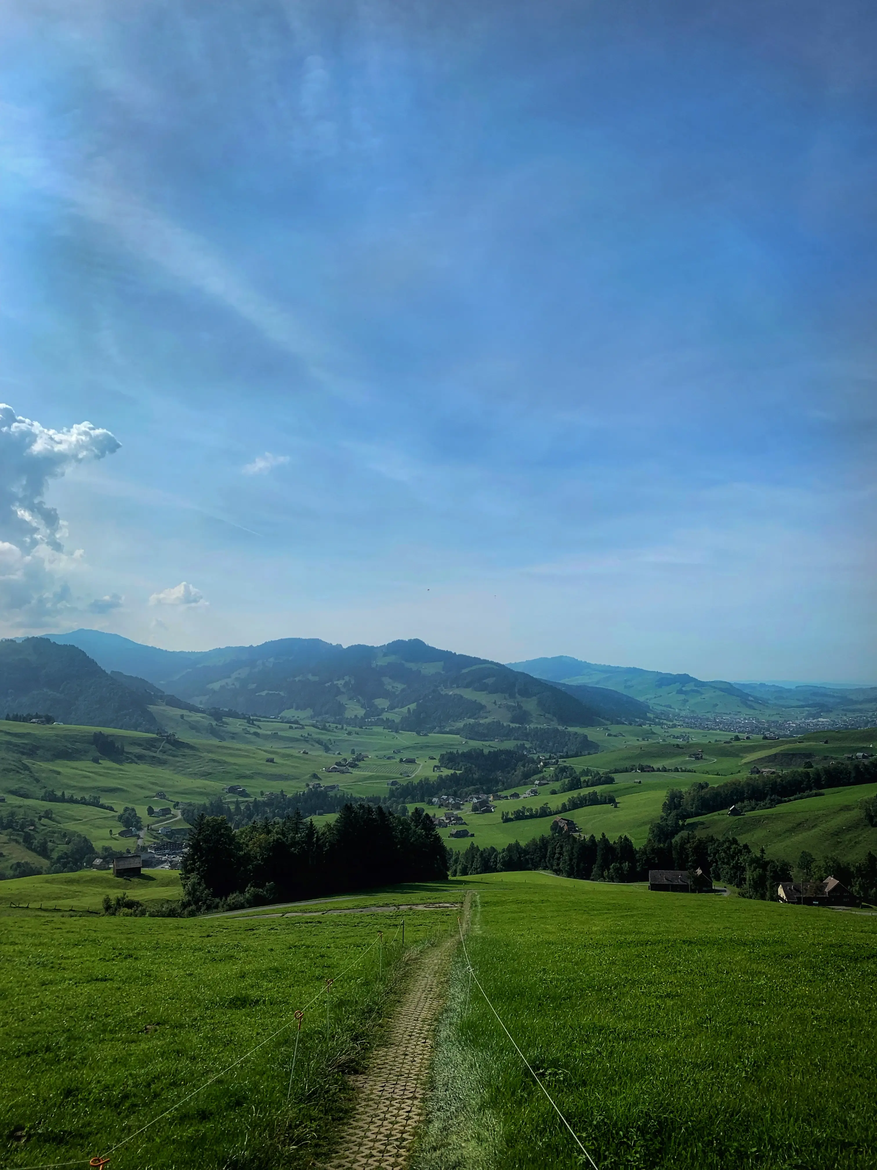 Der Rückweg der Localsbodensee führt über kleine Wege durch Wissen mitten in der Natur zurück nach Brülisau.