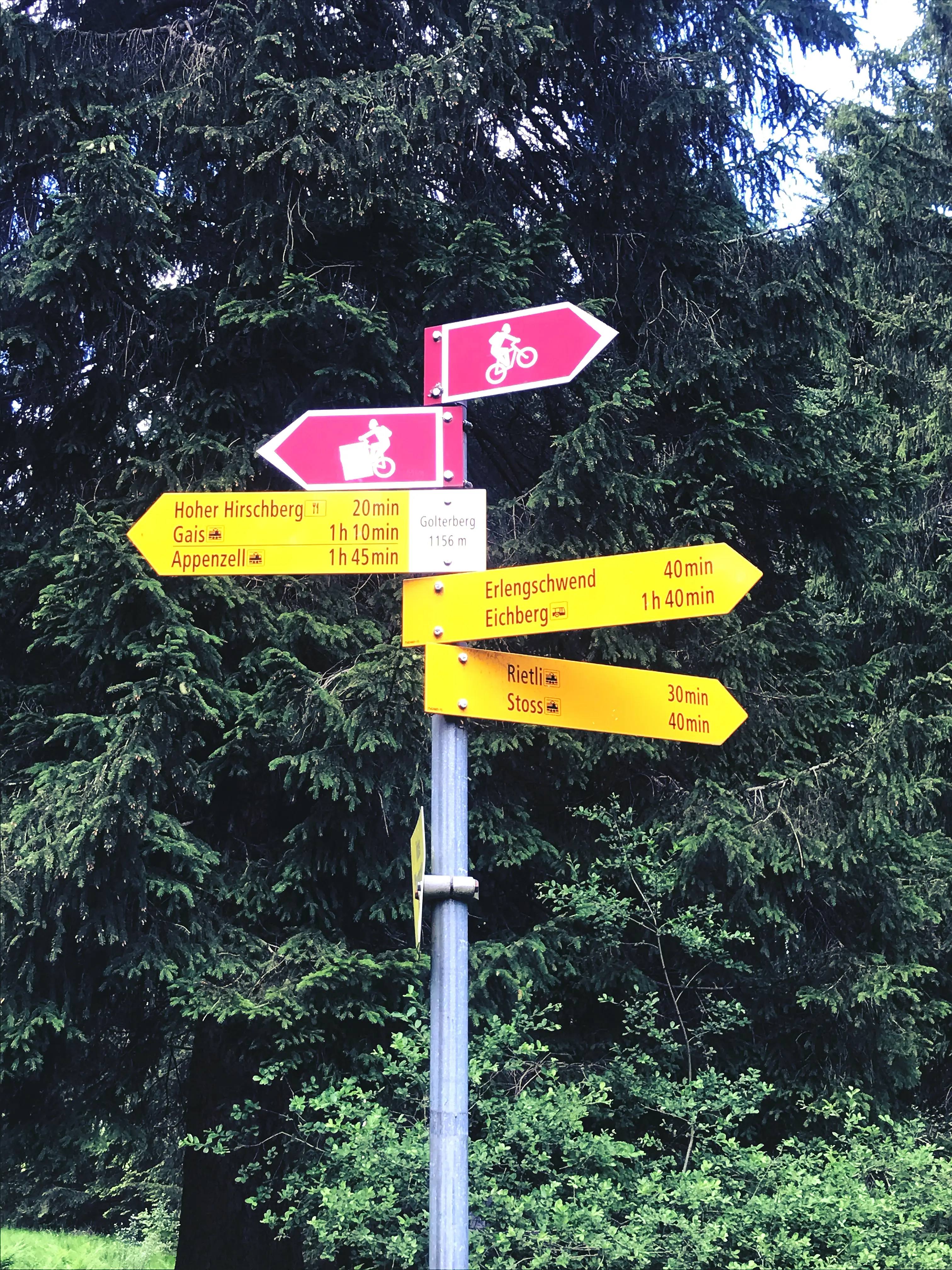 Der Abstieg vom Hohen Hirschberg aus, beginnt dann Richtung Rietli.