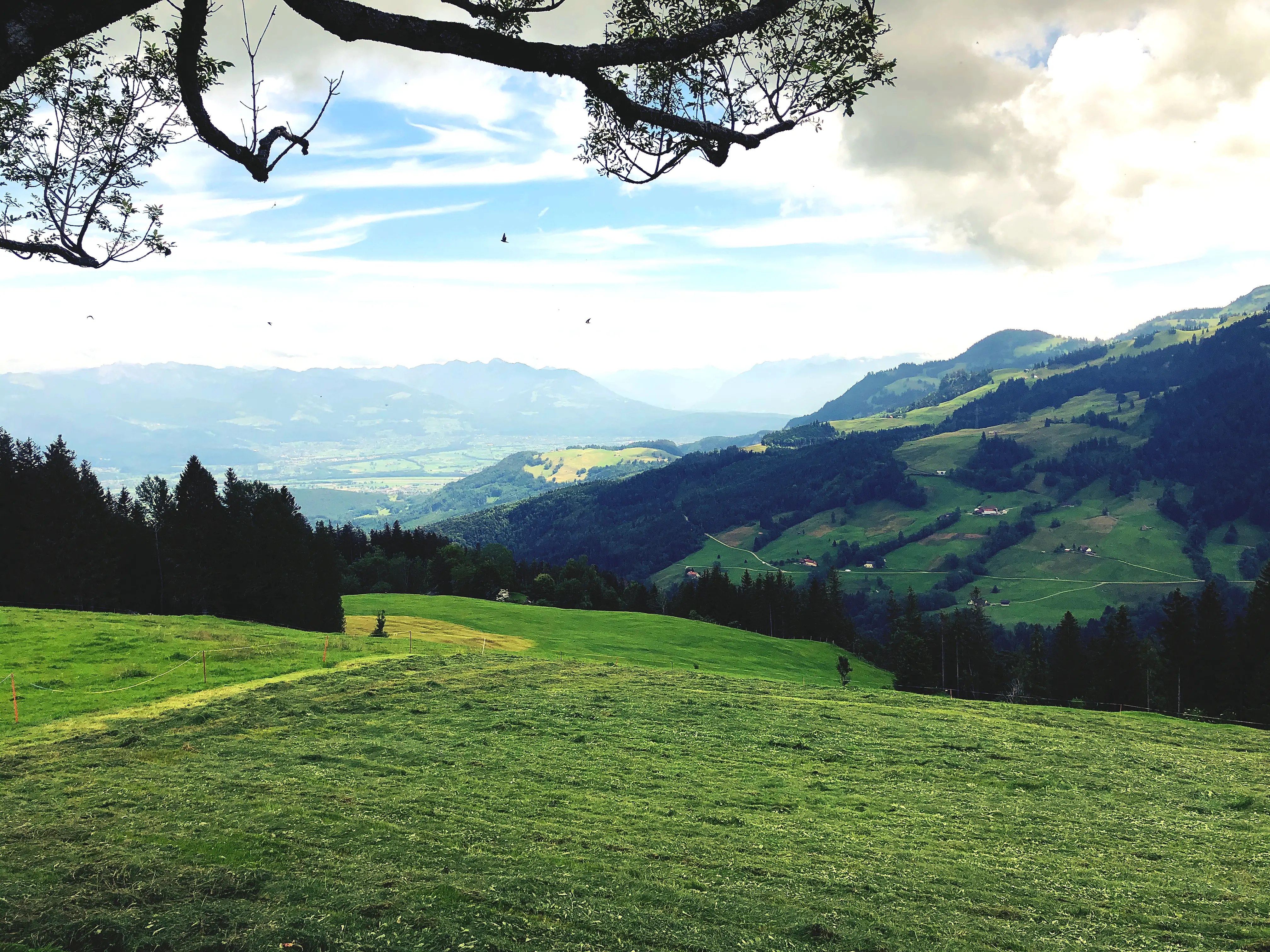 Schon jetzt lohnt es sich immer mal wieder einen Blick zurück zu werfen und die Landschaft im Appenzell zu genießen.