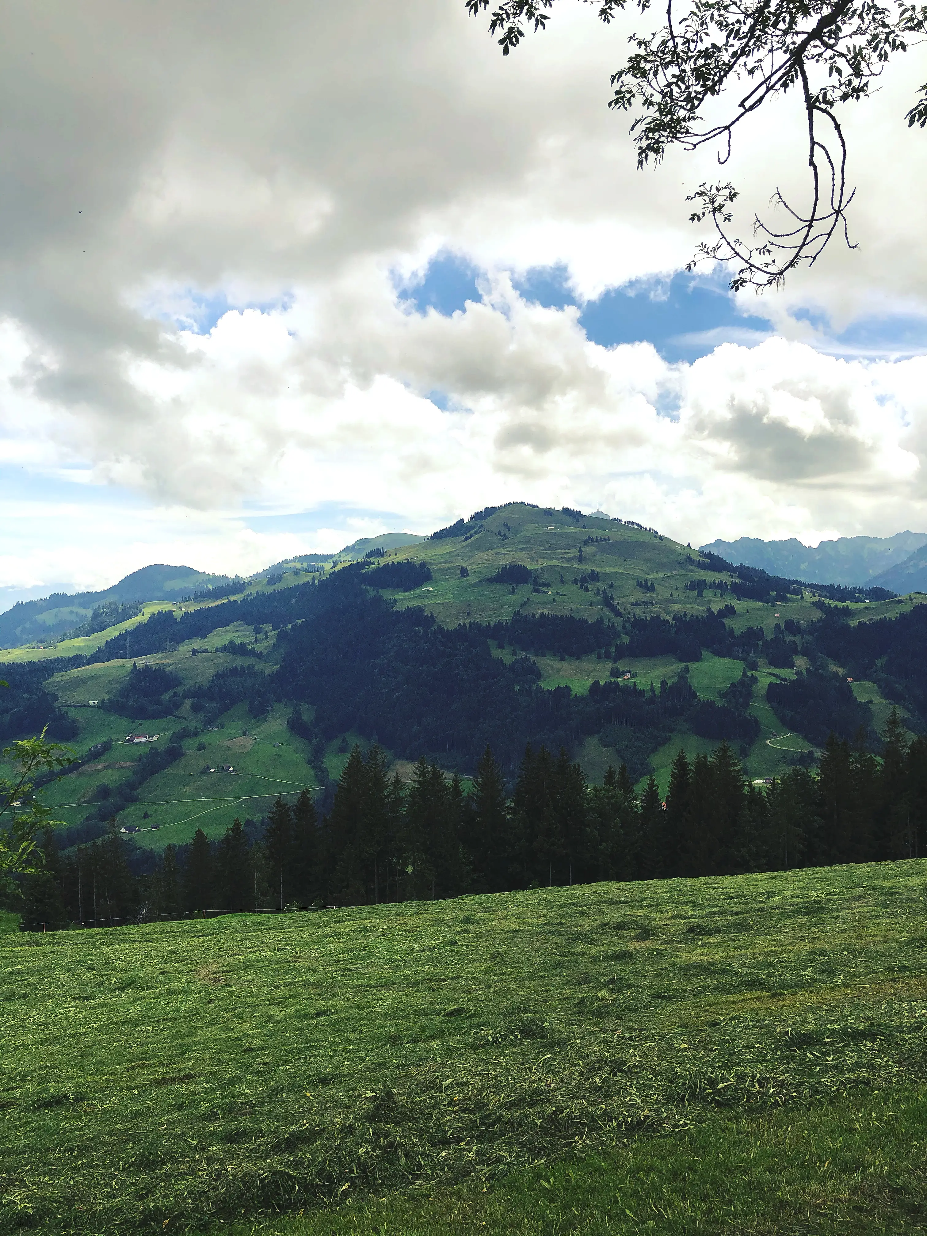 Vom Hohen Hirschberg hat man einen perfekten Blick auf den Alpstein.