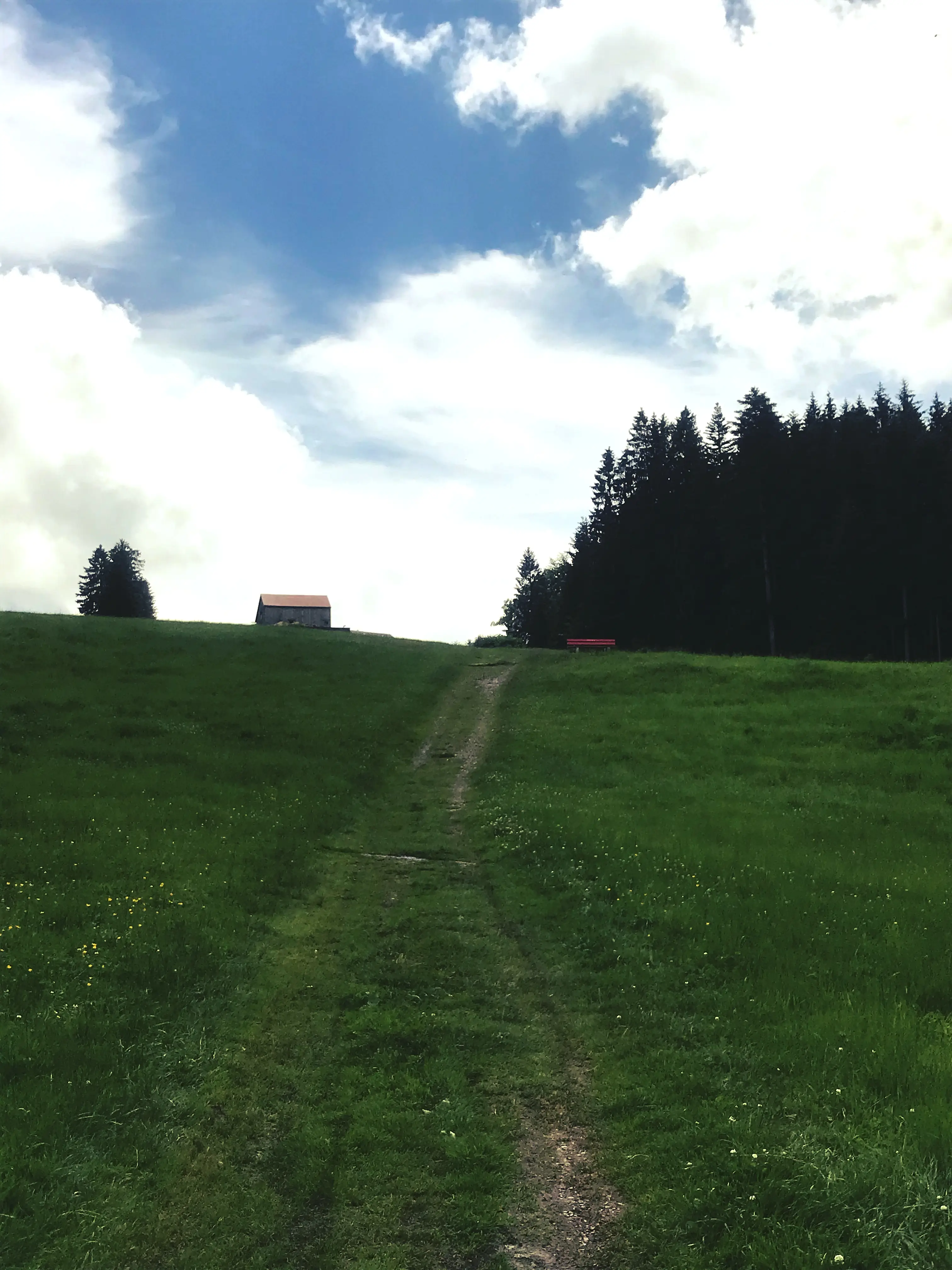 Einmal aus dem Örtchen Gais heraus, läuft der Weg durch Wiesen und Feldwege.