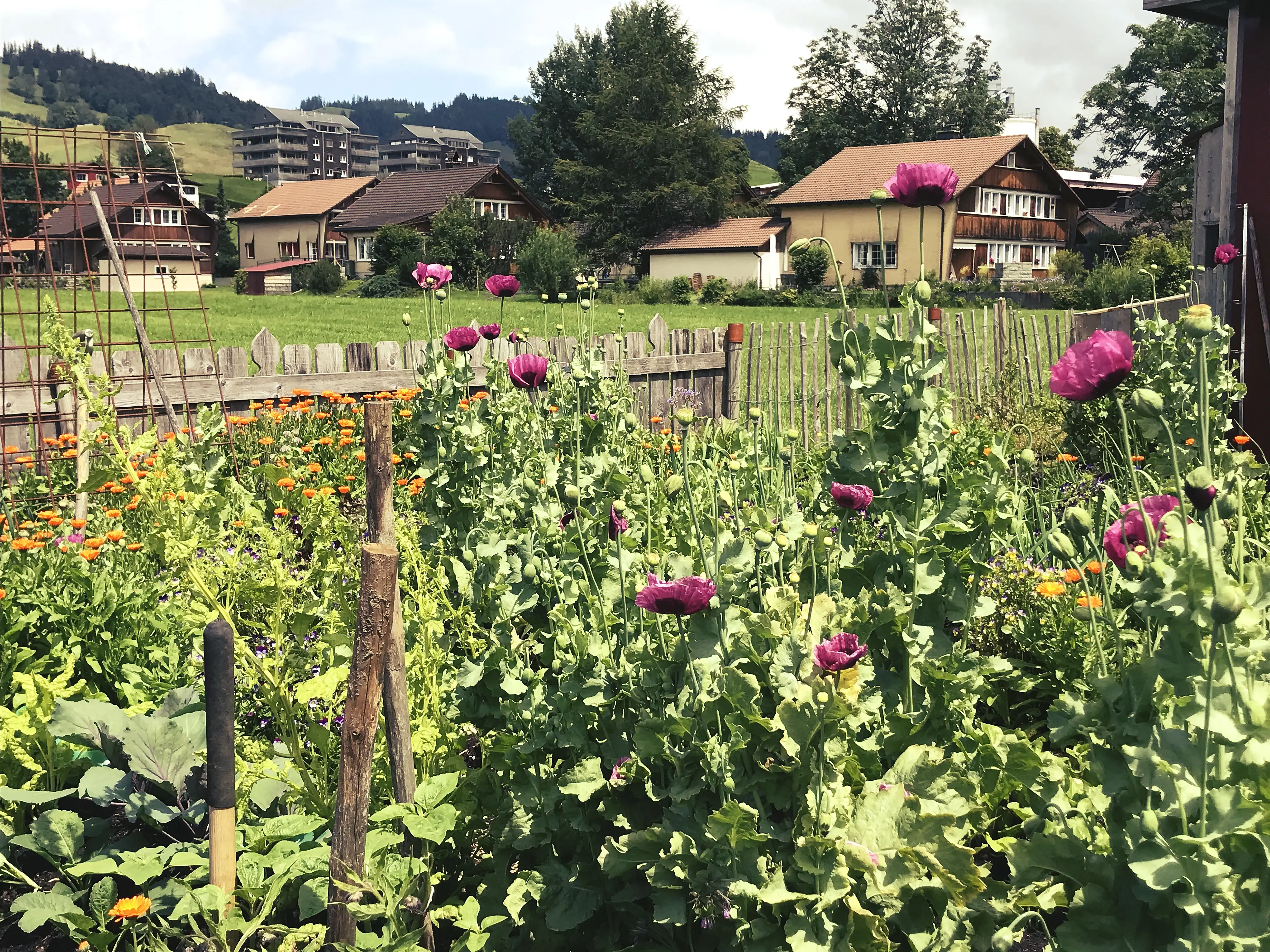 Wunderschöne Gärten begleiten die Localsbodensee auf ihrer Tour im Appenzell.