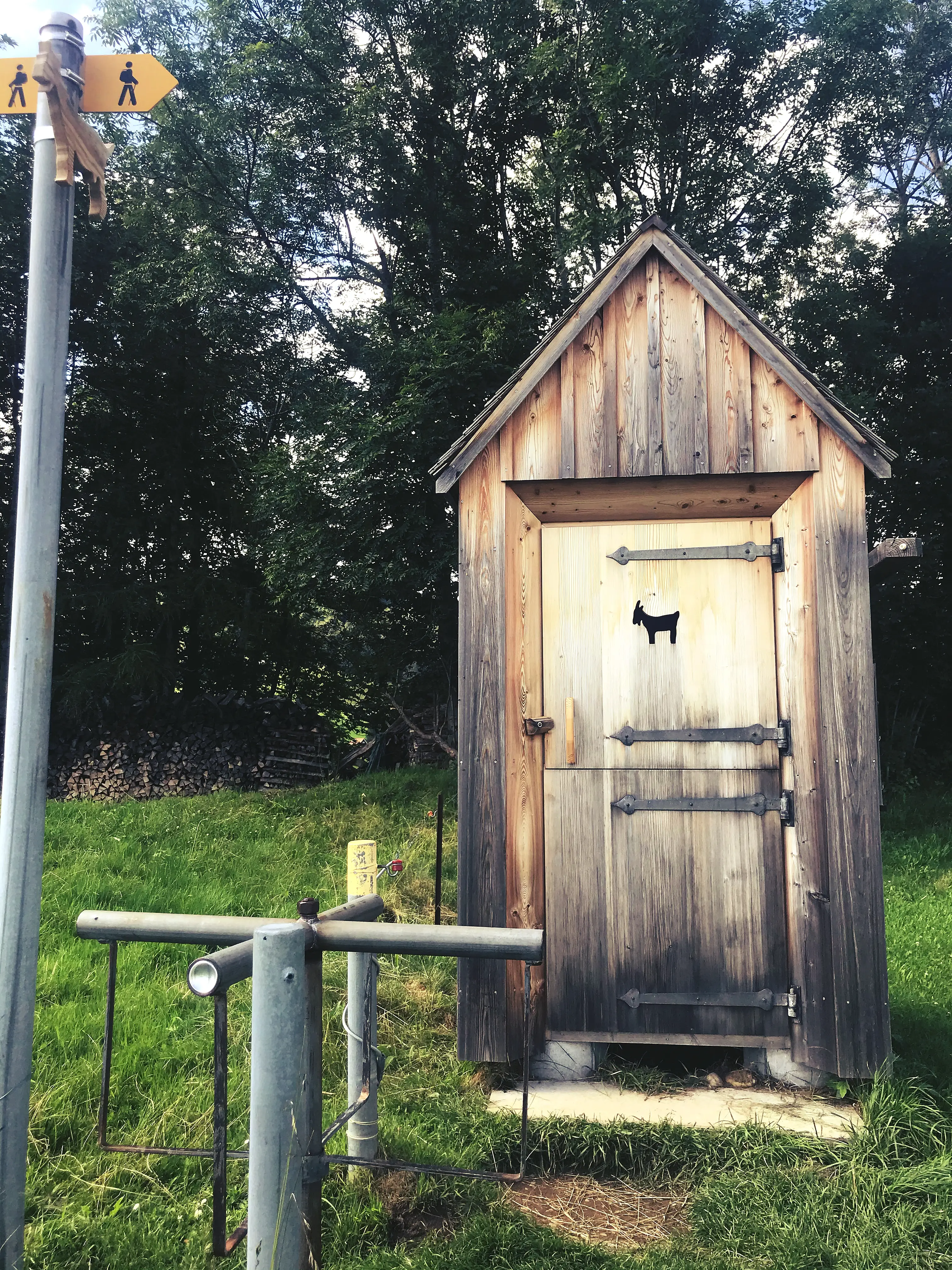 Auf dem Rückweg nach Gais kommen die Localsbodensee an einer kleinen Holzhütte vorbei.
