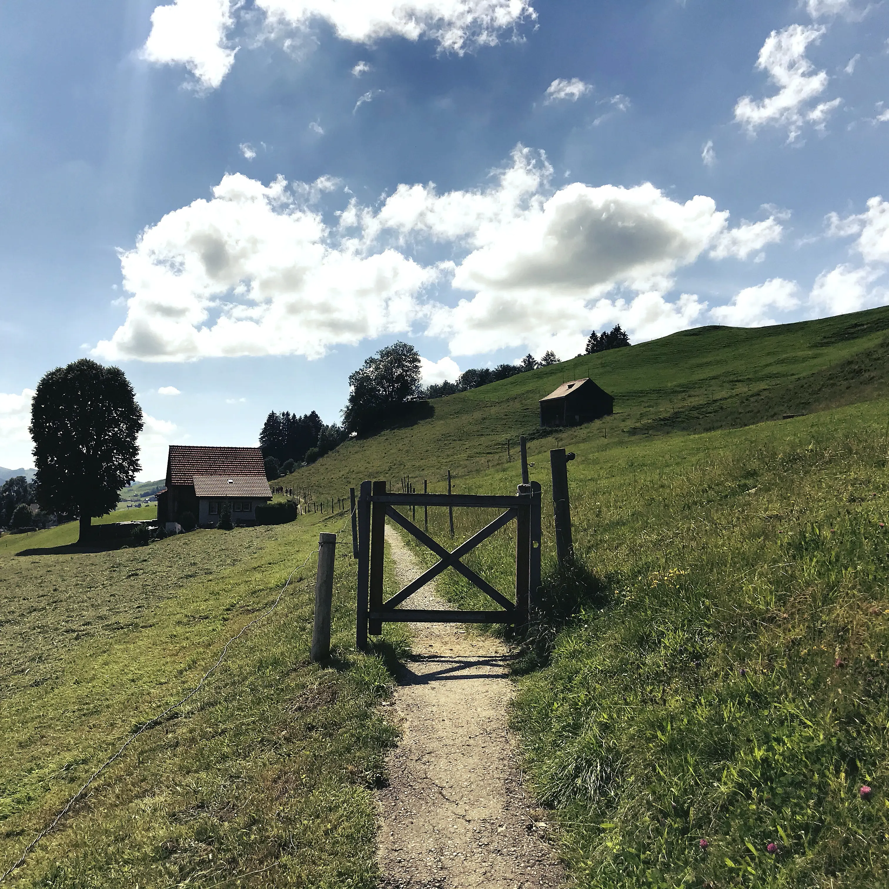 Auf dem Rückweg geht es wieder über kleine Pfade durch Wiesen und Felder mitten durch die Natur.