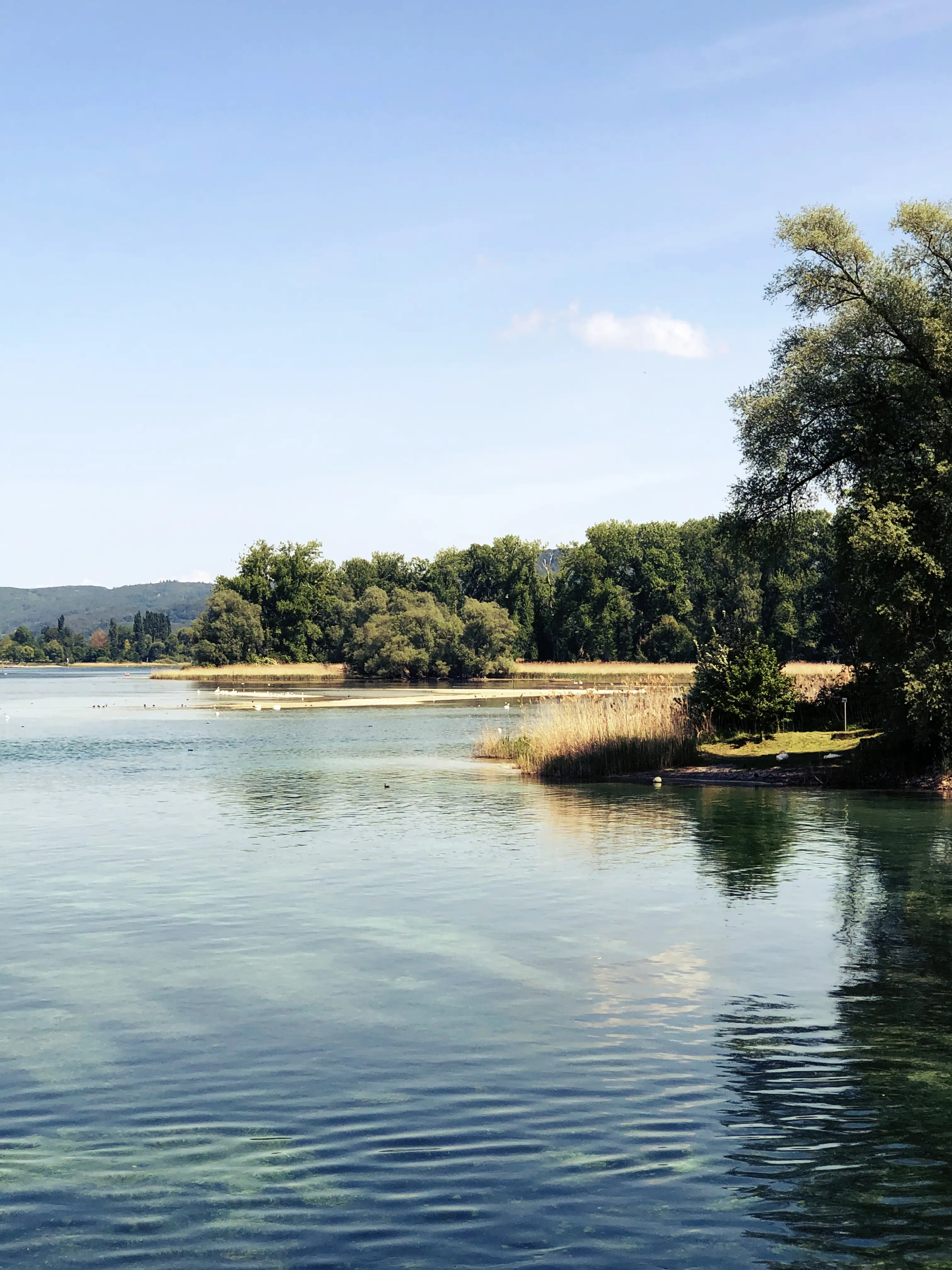 Am Ufer des Bodensees angekommen, führt eine Brücke auf die Insel Werd.