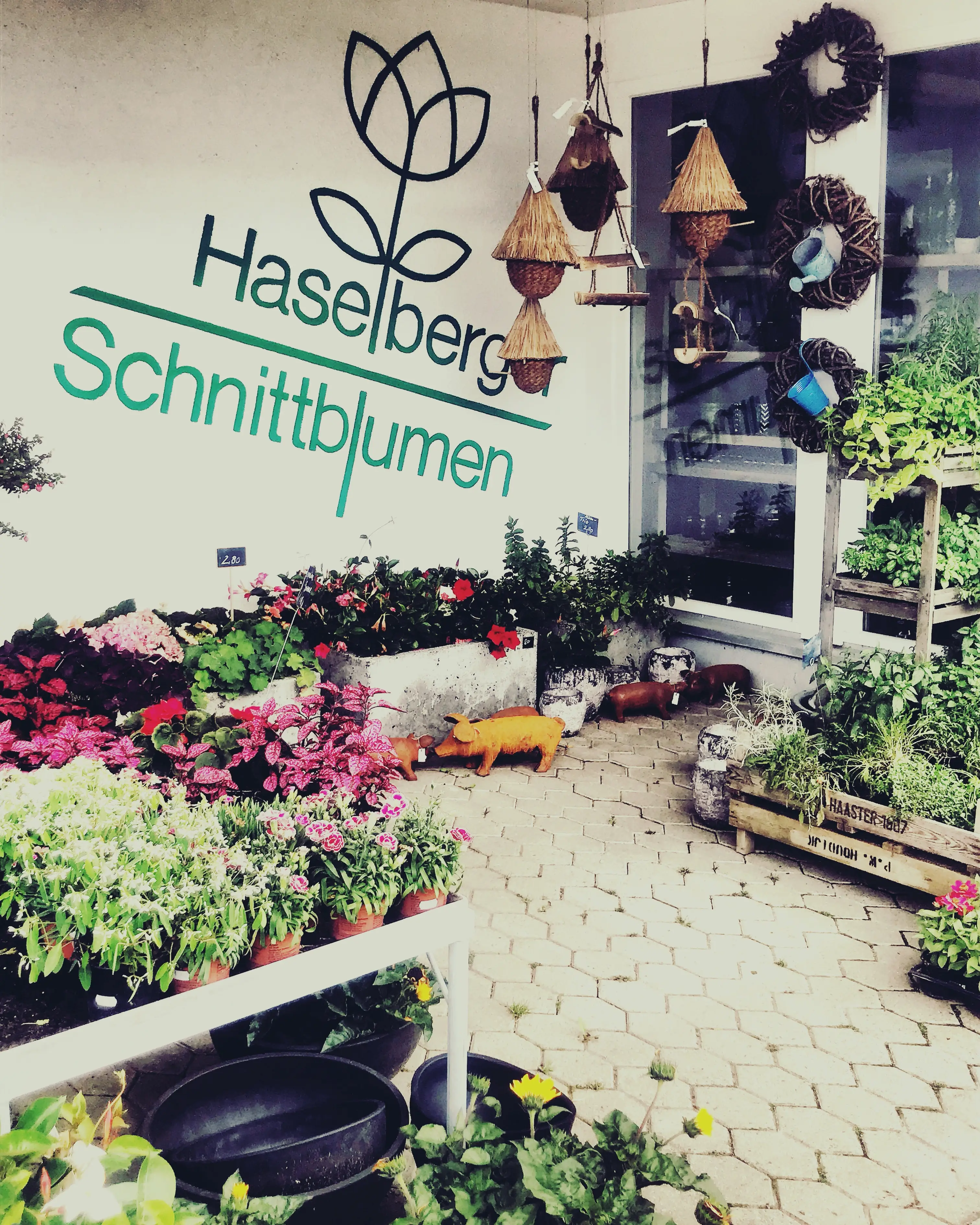 Wer auf der Gemüseinsel schöne Blumensträuße sucht, wird bei Haselberger Schnittblumen fündig.