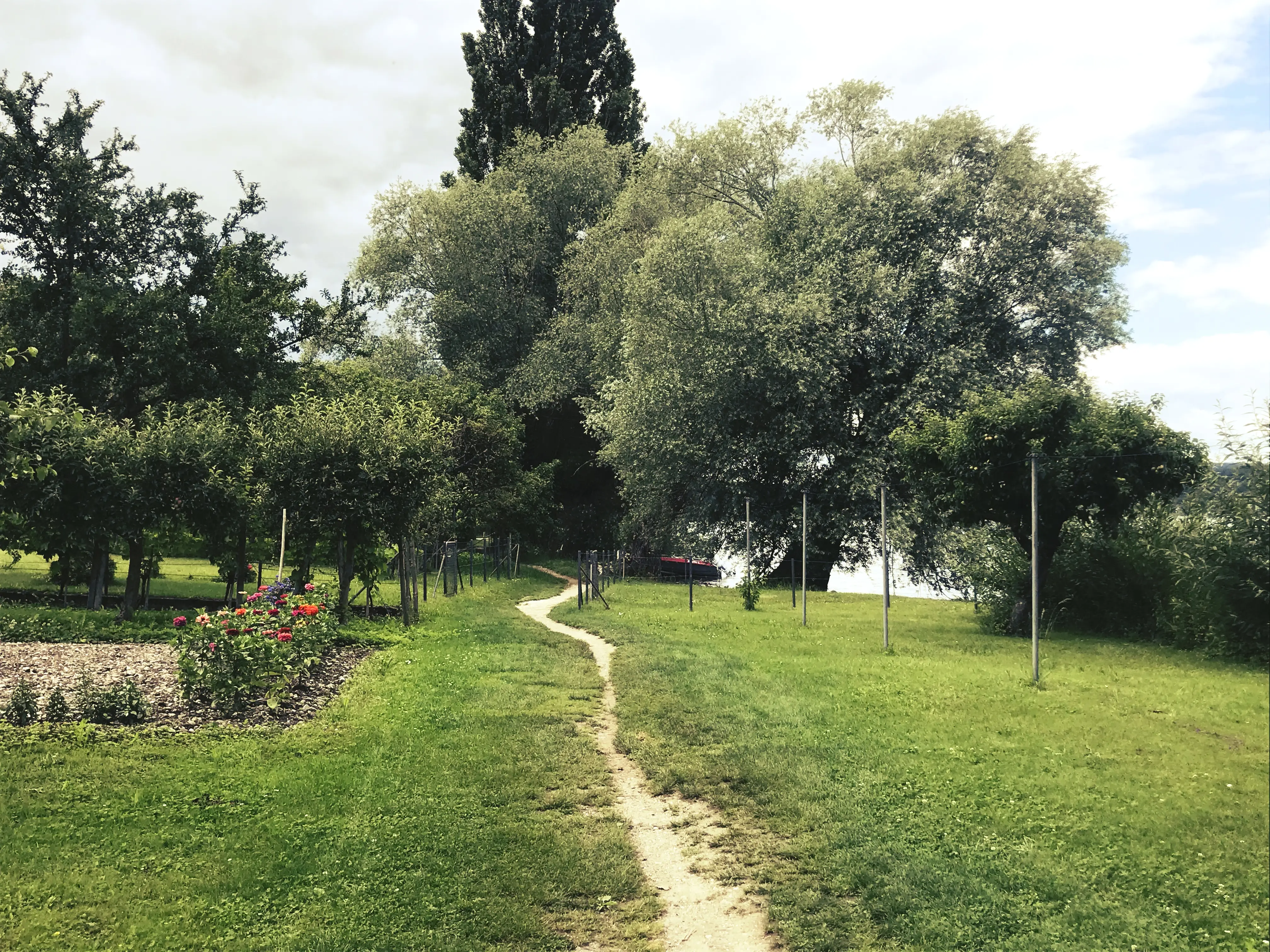 Kleine Trampelpfade führen am Ufer des Bodensees entlang.